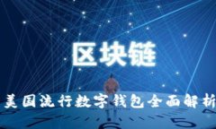 美國(guó)流行數(shù)字錢包全面解