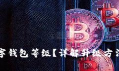 如何升級數(shù)字錢包等級？
