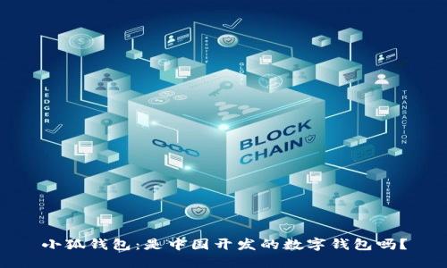 小狐錢包：是中國開發(fā)的數(shù)字錢包嗎？