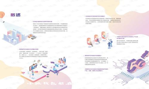 小狐錢包能在電腦上使用嗎？